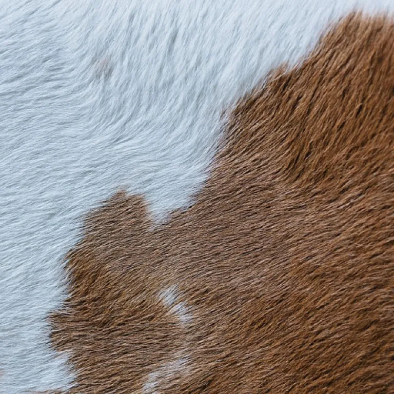 L'essor du t-shirt techno : une fusion de style et de technologie