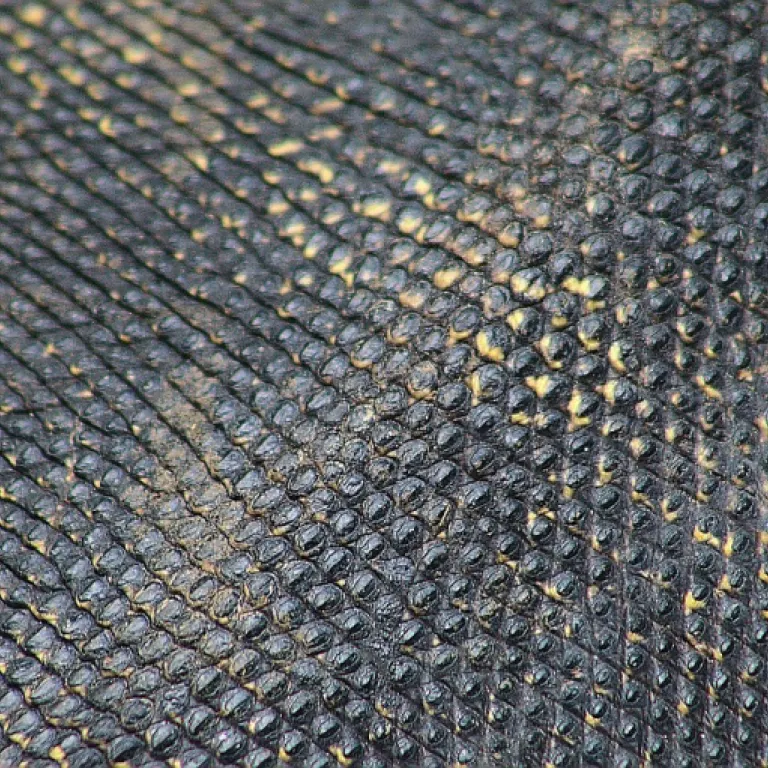 La jupe en gaze de coton : un incontournable de la garde-robe