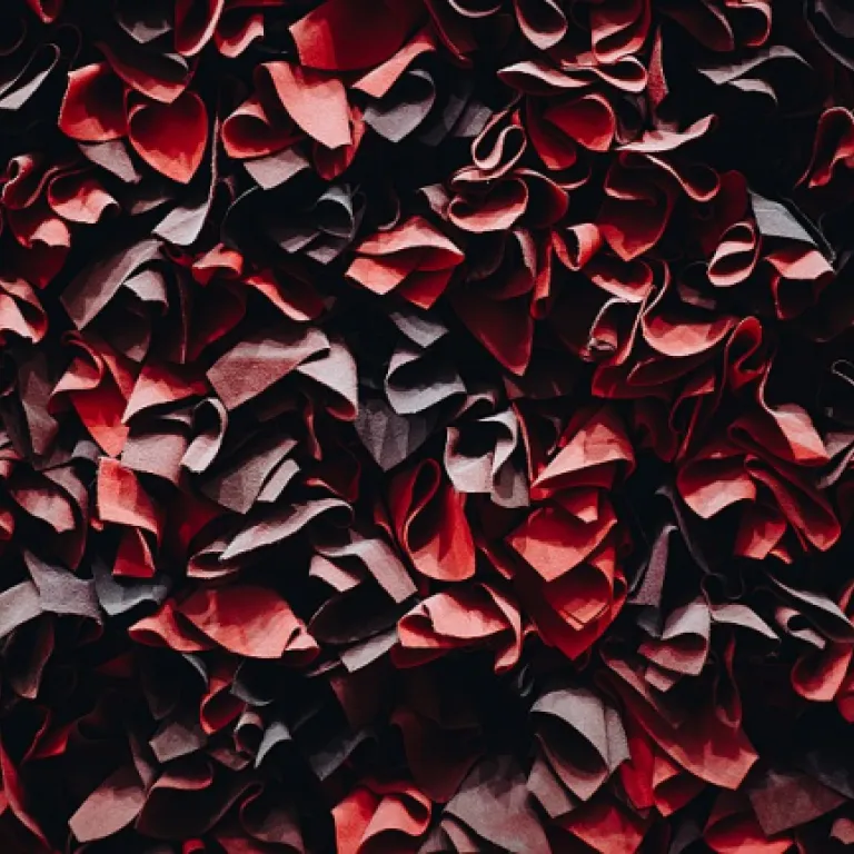 L’élégance inattendue du maillot du Brésil noir : entre style et symbole