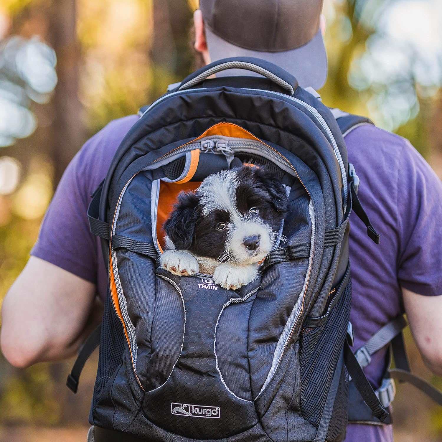 G-Train Sac à dos de Transport pour Petits Chiens et Chats, Sac de Voyage et Randonnée avec fond étanche, bleu marine Bleu Emballage simplifié