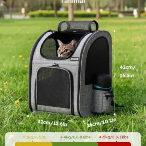 Test Pecute Sac à Dos Chat Chien : un sac de transport qui fait le job pour les trajets du quotidien