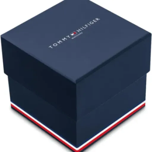 Test Tommy Hilfiger 1781976 : une montre femme qui mise surtout sur le look