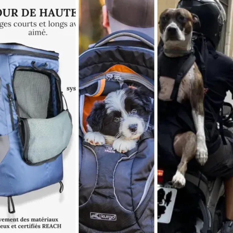 Guide d'achat : les 9 meilleurs sacs à dos chien (2026)